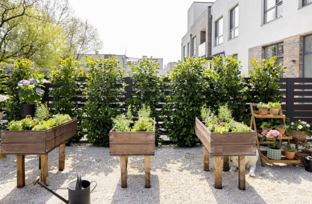 5 Ways to Create a Sustainable Garden Space