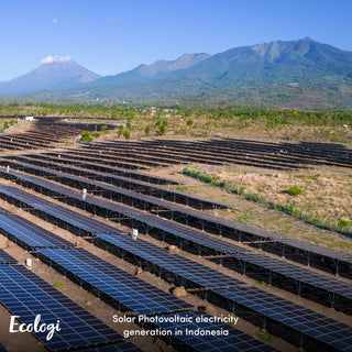 Hemming & Wills: Pioneering Sustainability with Ecologi