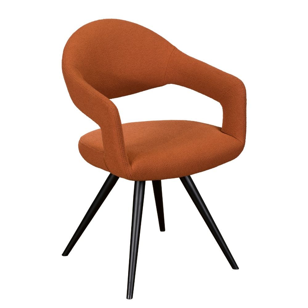 Erica Dining Chairs (Set of 2)