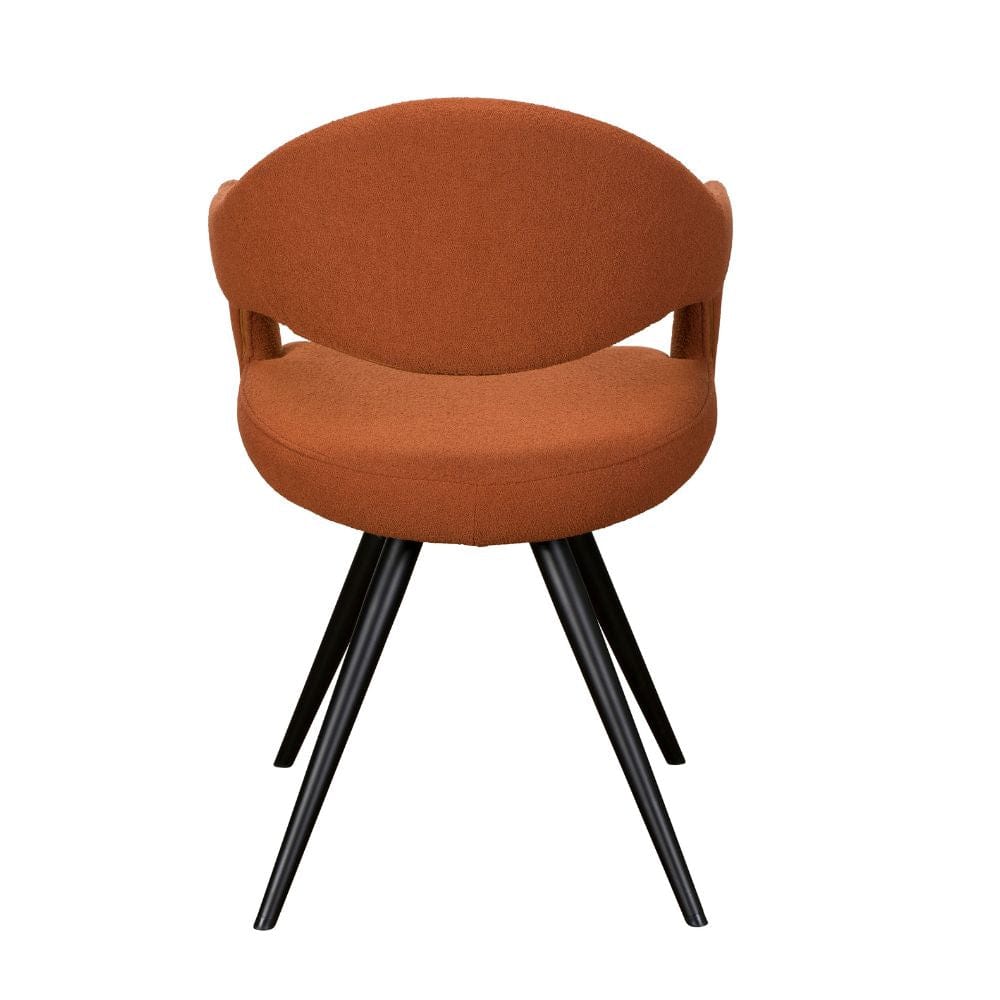 Erica Dining Chairs (Set of 2)